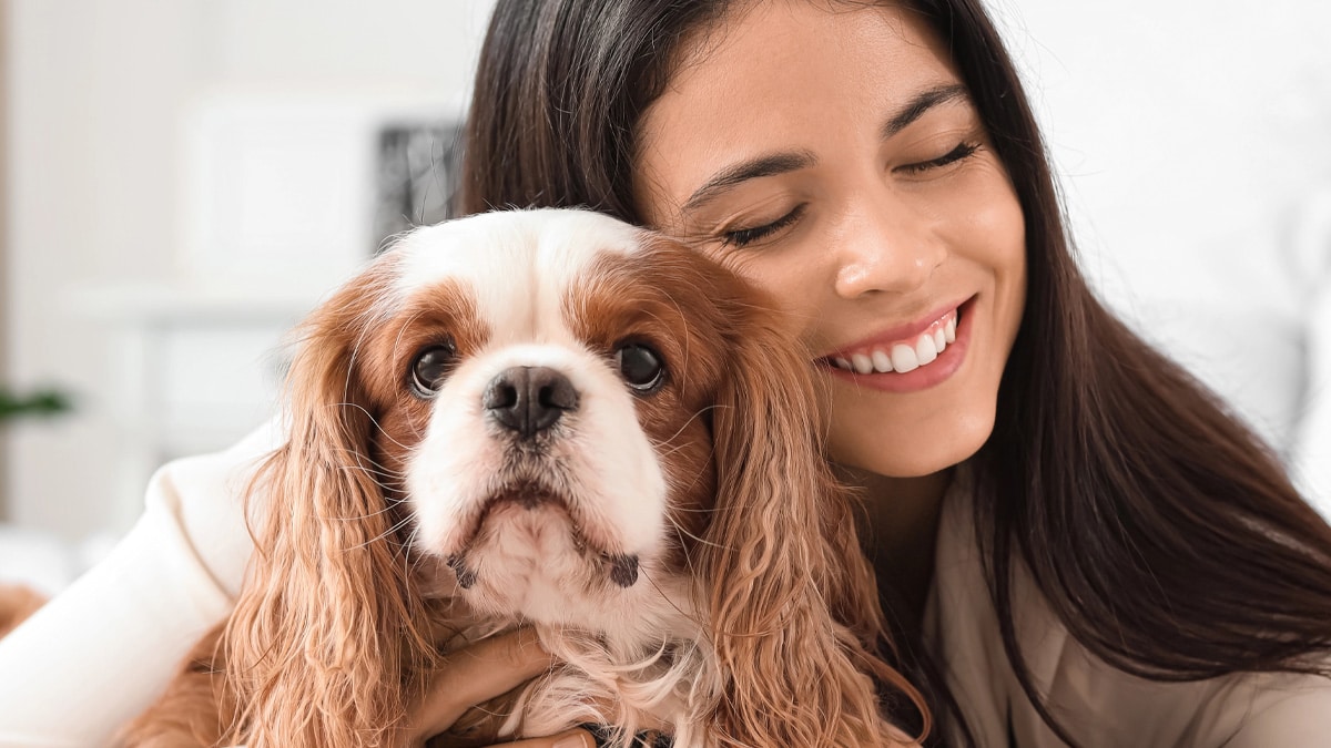 Ce danger très fréquent qui pourrait coûter la vie à votre chien !